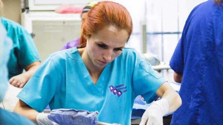 Dr. Petra Mickova: Age, Net Worth, Married Life, Salary, and Veterinary Journey