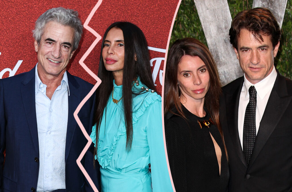 Anyone But You Star Dermot Mulroney Divorcing His Wife After 17 Years Together! - Perez Hilton