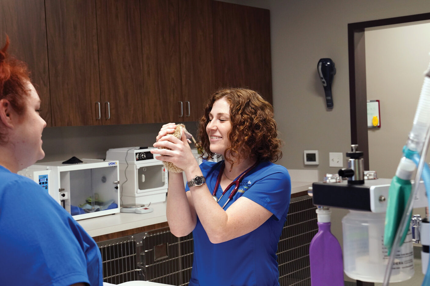 Aggie Veterinarian Dr. Lauren Thielen: Small Screens And Big Dreams
